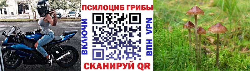 Галлюциногенные грибы мухоморы  Верея 